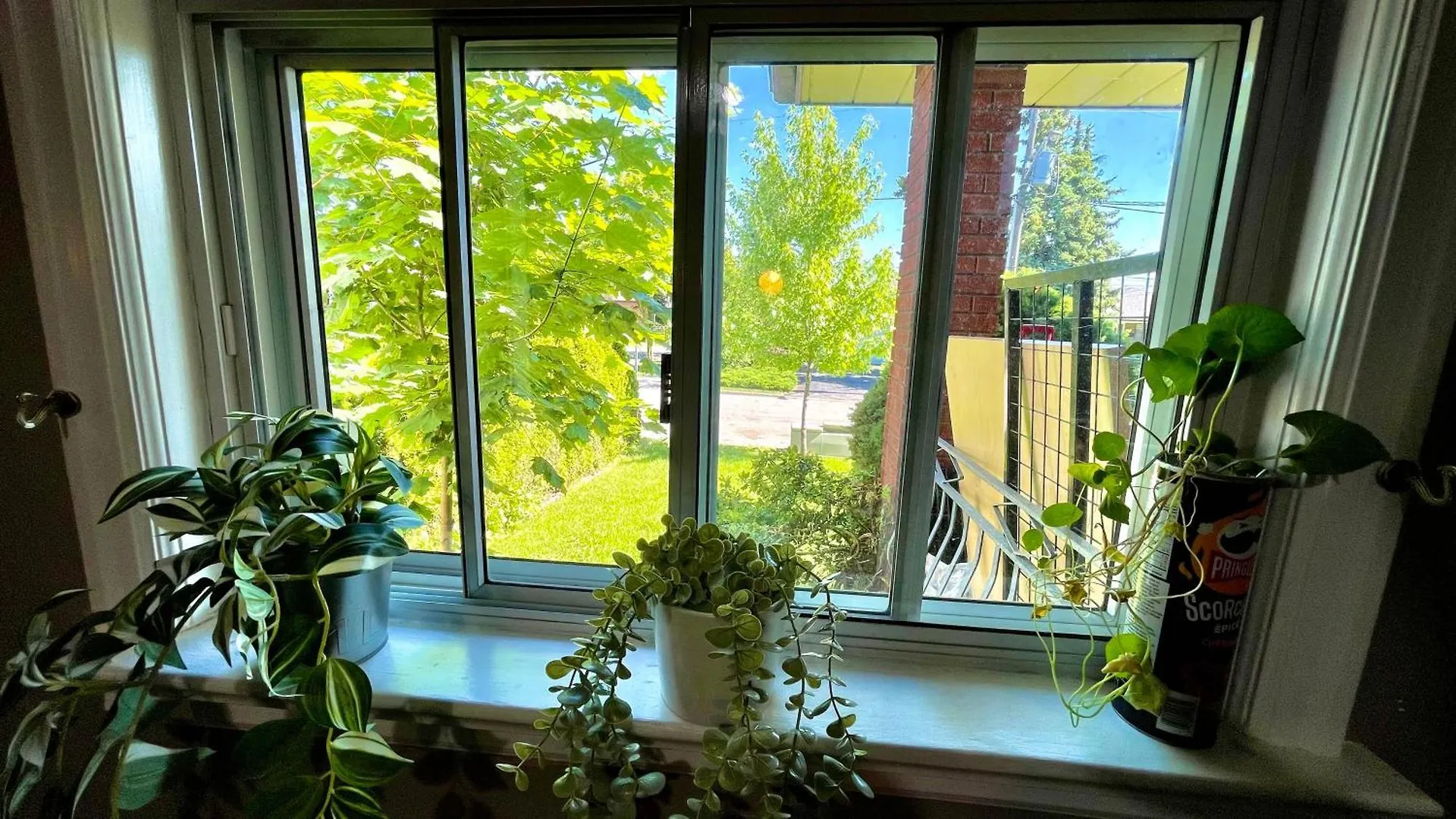 Glengrove Cozy Home Toronto 0*,